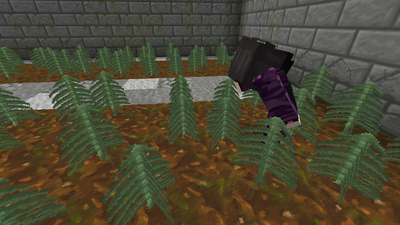 Exploitation de bois